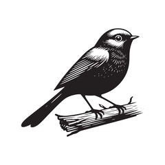 Grey Catbird Vector Silhouette, Sleek Bird Design, Detailed Avian Outline, Nature-Inspired Artwork, Elegant Songbird Illustration, Wild Bird.
