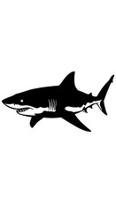 Fototapeta premium Apex Predator Silhouette