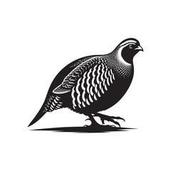 Grey Partridge Vector Silhouette, Detailed Ground Bird Design, Nature-Inspired Wildlife Art, Elegant Avian Outline, Rustic Bird Illustration.
