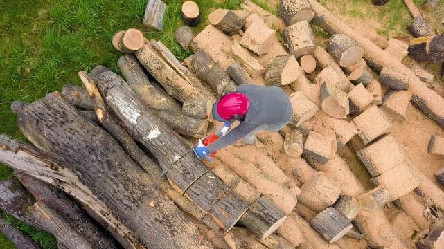 Lumberjack with a chainsaw cutting trees in the forest. Preparing firewood for winter. Top down view. Aerial view from drone
