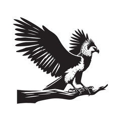 Harpy Eagle Vector Silhouette, Majestic Bird of Prey, Detailed Avian Design, Powerful Eagle Outline, Nature-Inspired Wildlife Art Illustration.
