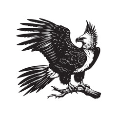 Harpy Eagle Vector Silhouette, Majestic Bird of Prey, Detailed Avian Design, Powerful Eagle Outline, Nature-Inspired Wildlife Art Illustration.
