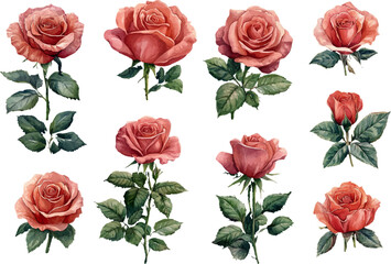 seamless pattern with red roses