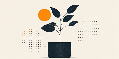 Modern Plant Indoor growth with sunlight and creative background.