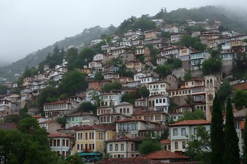 Obraz premium Overcast view of clustered heritage houses on slope 