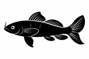 killifish sihouette black vector