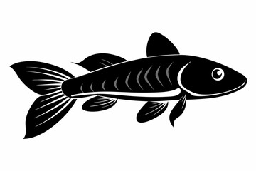 killifish sihouette black vector