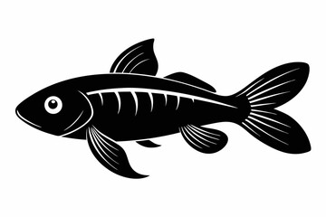 killifish sihouette black vector
