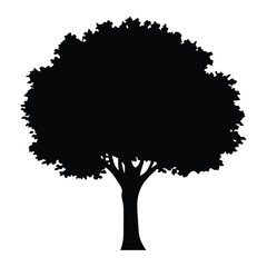Fototapeta premium sycamore tree vector silhouette icon, black and white illustration of trees.