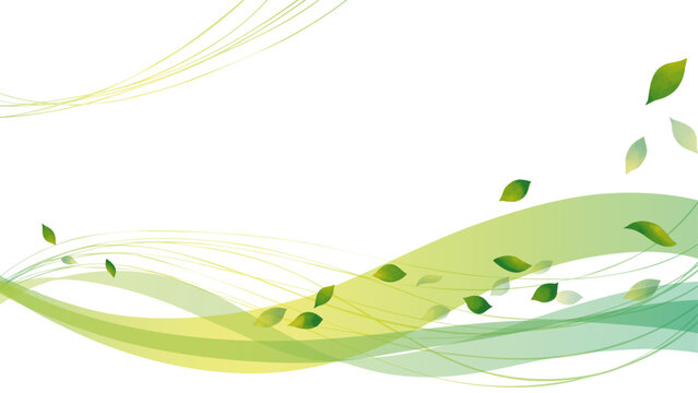 緑の葉っぱと曲線2　16:9 Flowing Lines Series:Green leaves and curves 2