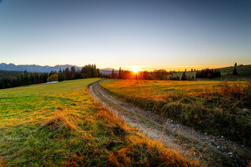 Obraz premium Sunset in the field with a view of the mountains. Autumn in the meadow, colorful trees. Poland, Łapszanka. Country road at sunset