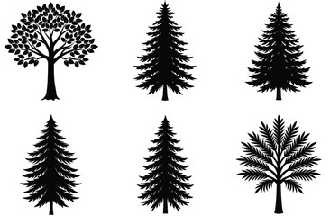 A vector illustration shows a set of green pine and fir tree silhouettes, perfect for winter holiday and Christmas nature designs