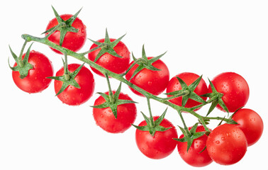 Red cherry tomatoes covered with water drops on branch isolated on white background.  File contains clipping path.
