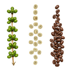 coffee beans on white background