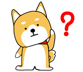 首を傾げて困っているしばいぬ