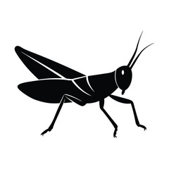 Leaping Grasshopper Sleek Vector Silhouette