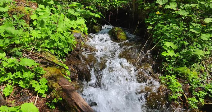B&auml;chlein, sprudelt, Pinzgau, Naturerlebnis, Salzburg