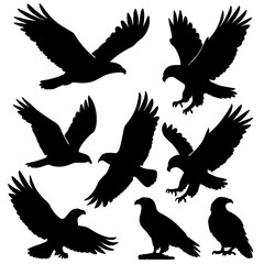 Obraz premium Eagle Silhouettes Vector Set – Flying, Landing, Perched – Black on White Background 