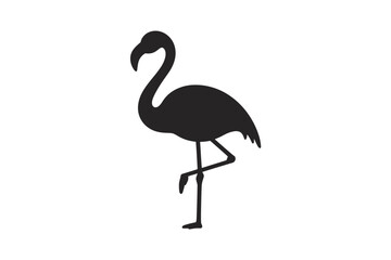 Flamingo silhouette vector illustration design
