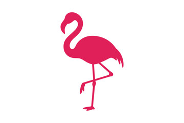 Pink flamingo vector illustration tropical bird