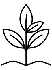 Fototapeta premium Minimalist outline plant icon. Simple vector illustration of a seedling or sprout with four leaves, growing from the ground, in black and white.