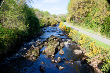 Shallow stream with rock in it