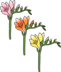 colorful flowers drawing minimal style, vector.