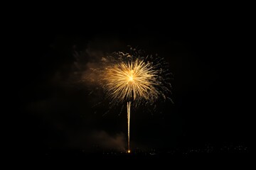 Golden Fireworks Display Illuminating Night Sky