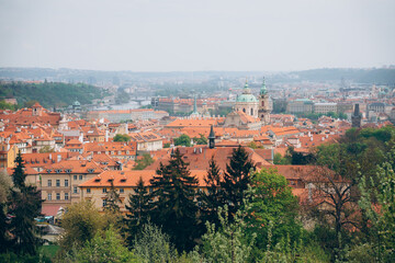 Obraz premium Spring in Prague showcases vibrant rooftops and lush greenery that highlight the beauty of the cityscape