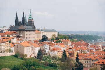 Obraz premium Spring blooms over Prague's historical skyline revealing vibrant rooftops and the majestic castle