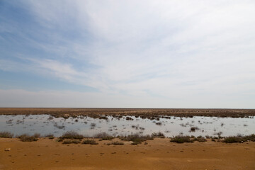 A shallow wetland in Bushehr, Iran, with scattered dry shrubs reflecting in the still water under a soft, cloudy sky.








