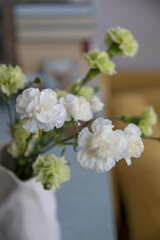 Bouquet of white and green carnations in a vase at home
