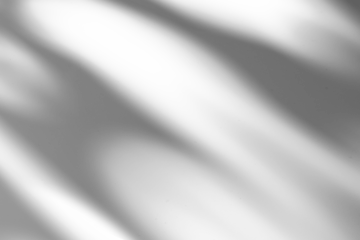 shadow overlay effect of natural tree leaves or window shadow over on white wall background,realistic summer abstract shadow overla