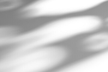 shadow overlay effect of natural tree leaves or window shadow over on white wall background,realistic summer abstract shadow overla