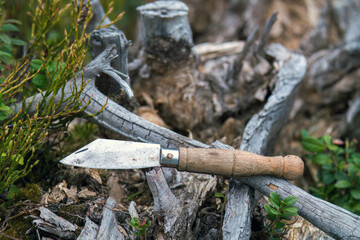 found a mushroom knife in the forest at a spring day