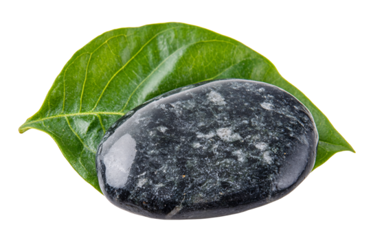 Isolated Dark Green Stone on Leaf