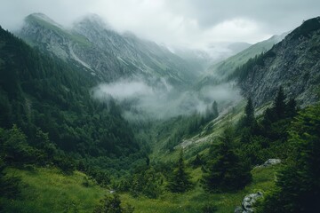 Fototapeta premium Majestic mountain valley shrouded in mist with lush greenery and rugged peaks at dawn