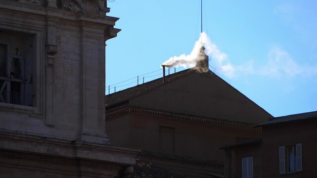 Rome, Italy - May 8, 2025: White smoke rises clearly from the Sistine Chapel chimney, marking the election of the new pope as people in the square cheer in celebration.
