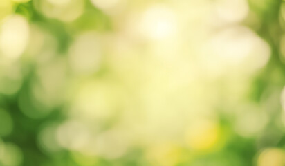 Abstract blurred green and yellow bokeh background with bright light in center.