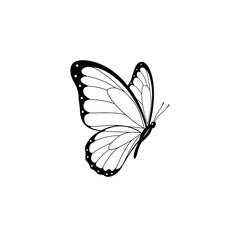A simple black and white illustration of a butterfly with detailed wings on a white background.