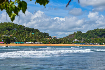 tropical beach and palm trees