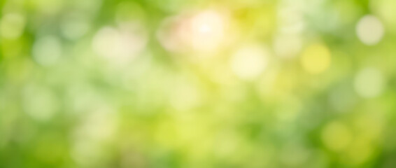 Abstract blurred green and yellow background with bokeh effect and soft light.