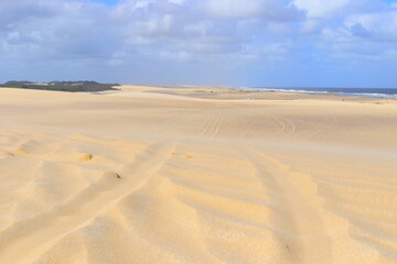 A big bright yellow sand dune on the background of bright cloudy sky. Something like a hieroglyph on the surface. Stockton Sand Dunes near the coast, Worimi Regional Park, Anna Bay, Australia. 