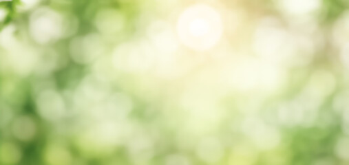 Abstract blurred background with green and yellow tones suggesting foliage or light.