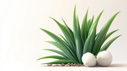 Fresh, vibrant green grass plant with two bulbs