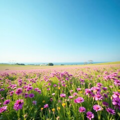 Vast expanse of pink and purple wildflowers blankets a tranquil meadow, clear blue sky above , flora, plant