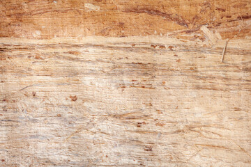Close up image of papyrus paper