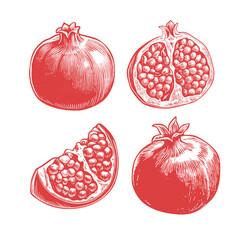 Hand-drawn pomegranate fruit set. Vintage style illustration showing whole, half, and sliced pomegranates with detailed seeds. Perfect for packaging, menus, and prints.