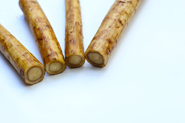 Fresh burdock roots or gobo roots