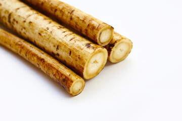 Fresh burdock roots or gobo roots